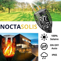 Torche Solaire  LED Effet Flamme