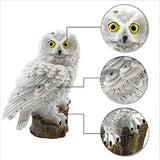 Lampe Solaire En Forme De Hibou - NoctaSolis