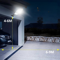 Projecteur Solaire Puissant Avec Détection Immédiate