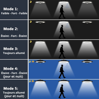 Projecteur Solaire Suspendue Ultra-Performant