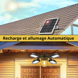 Projecteur Solaire Suspendue Ultra-Performant